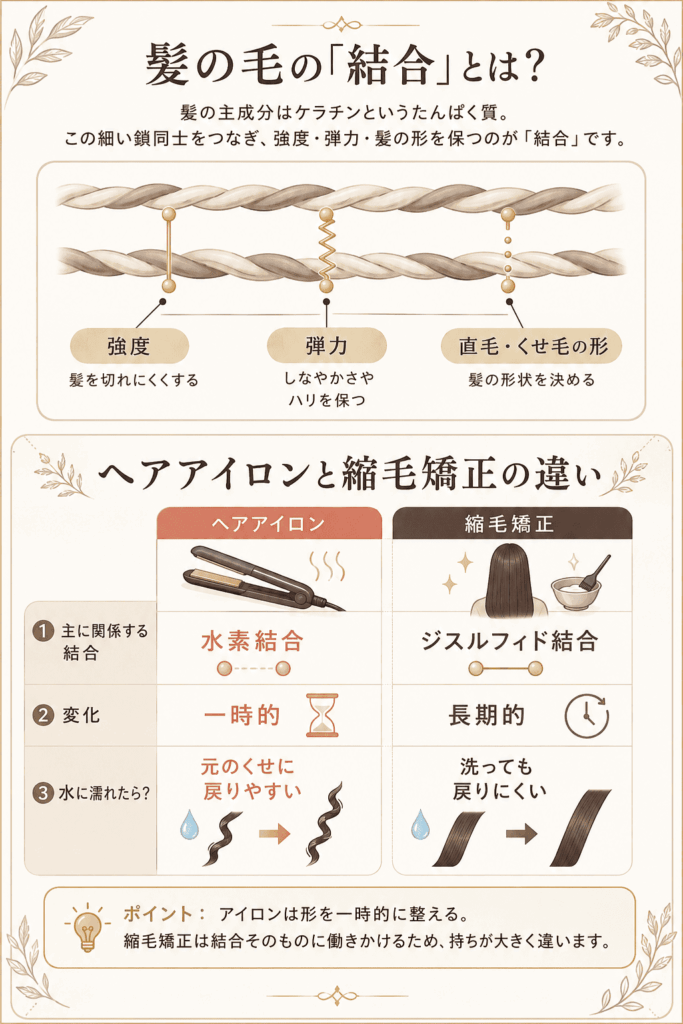 髪の毛の結合の図解1　美容院R（アール）オリジナル資料