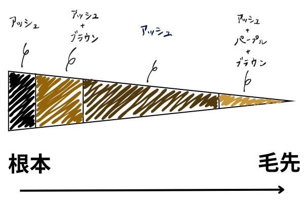 白髪染めの塗り分けイメージ1